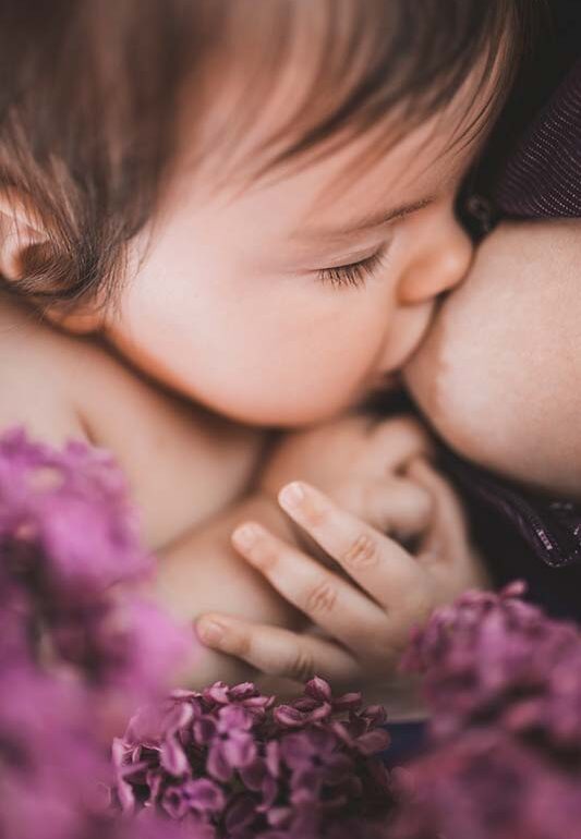 sesja karmiąca Kielce